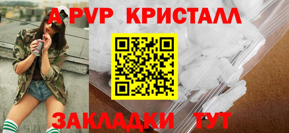 купить   Вход с VPN  Калининград  Alfa_PVP СК КРИС 