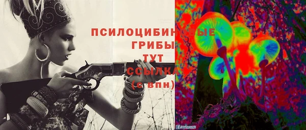ECSTASY Абаза