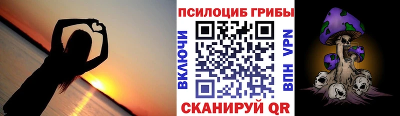 kraken вход  Калининград  Галлюциногенные грибы Magic Shrooms 