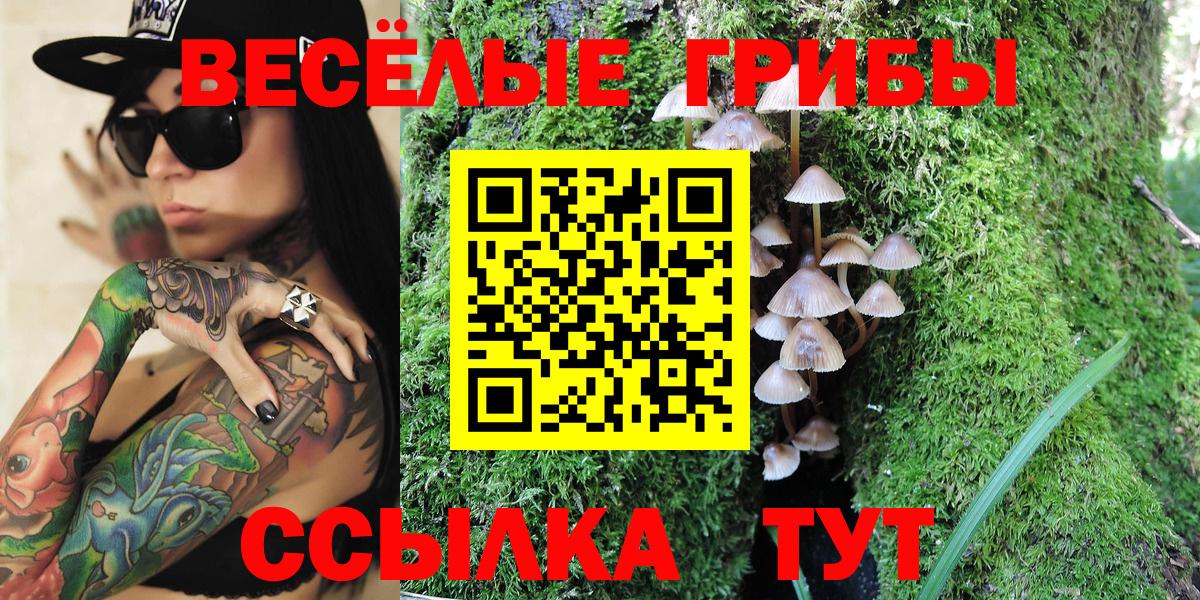 Псилоцибиновые грибы прущие грибы Калининград