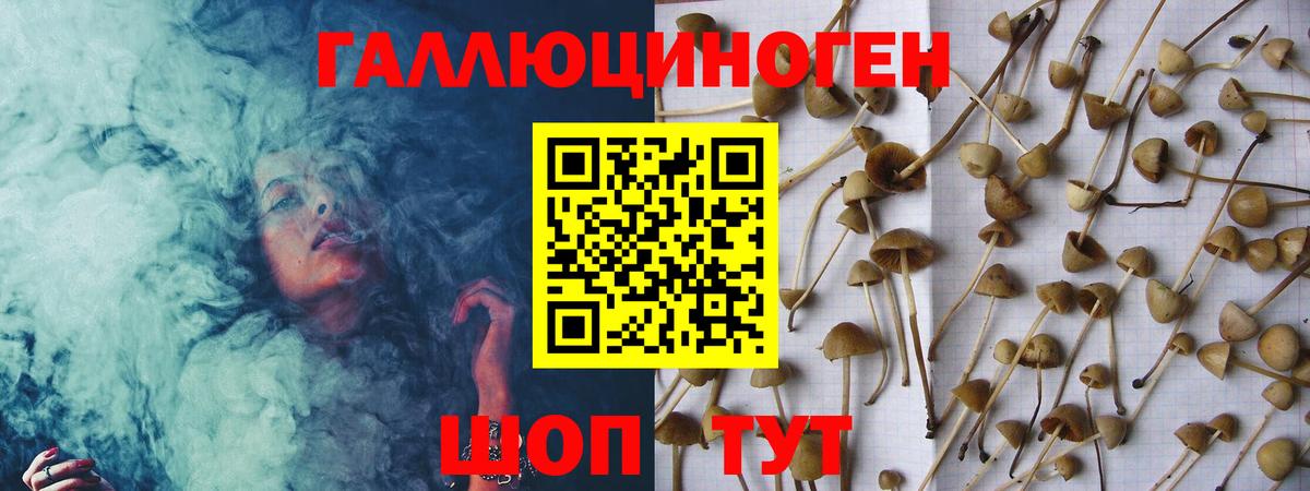 Галлюциногенные грибы MAGIC MUSHROOMS  Псилоцибиновые грибы мухоморы  Калининград  Вход с VPN 
